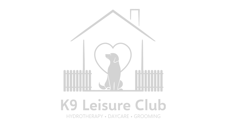 K9 Leisure Club Grey